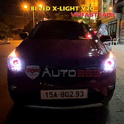 độ fadil