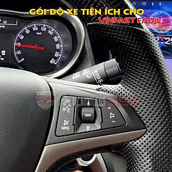 Gắn Remap + Cuise Control + Lim + phím Media