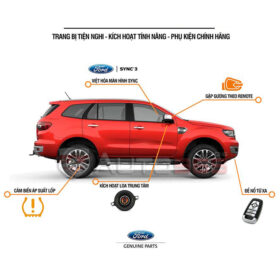 kích hoạt tính năng ẩn Ford